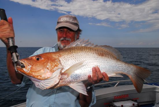 Fish turn it on for inaugural Melville Challenge